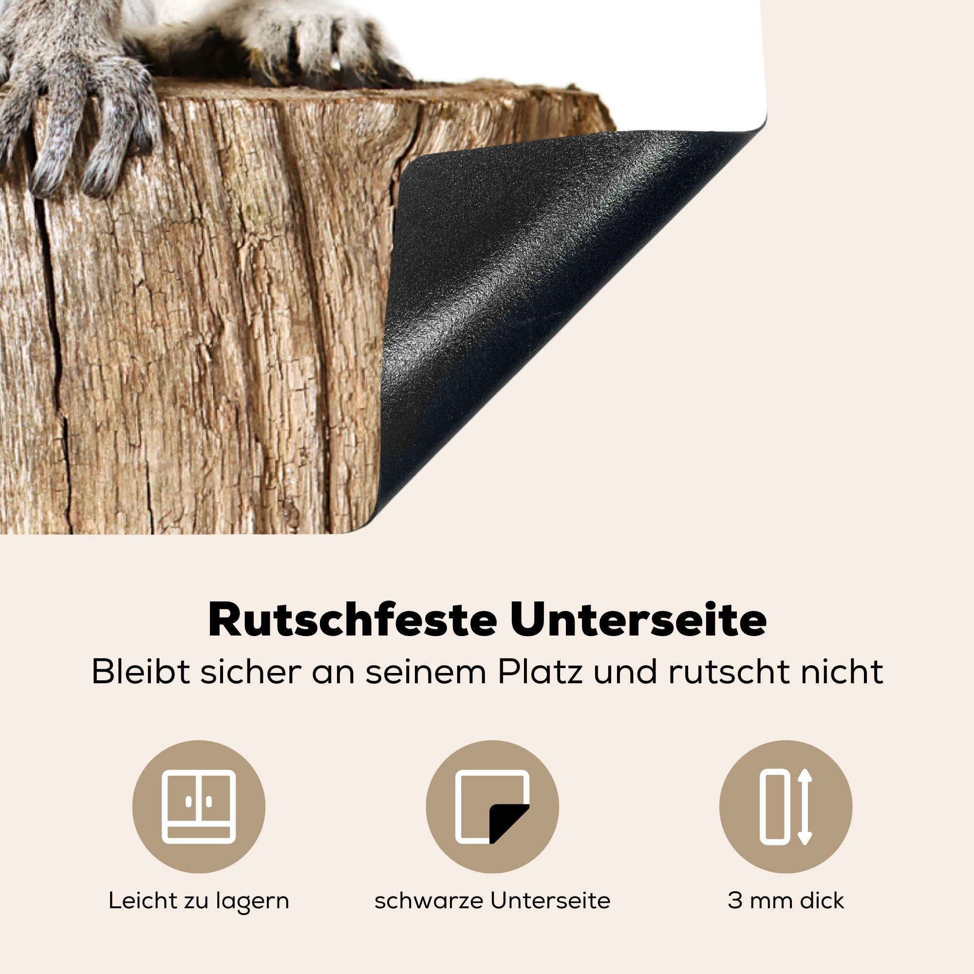 MuchoWow Herdblende-/Abdeckplatte Baum 78x78 für Affe Ceranfeldabdeckung, - Arbeitsplatte - Ringelschwanzlemur, (1 tlg), Vinyl, küche cm