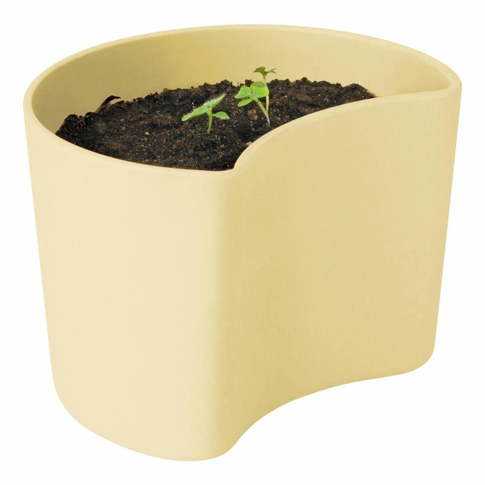 RIG-TIG Anzuchttopf YOUR TREE mit Samen Yellow