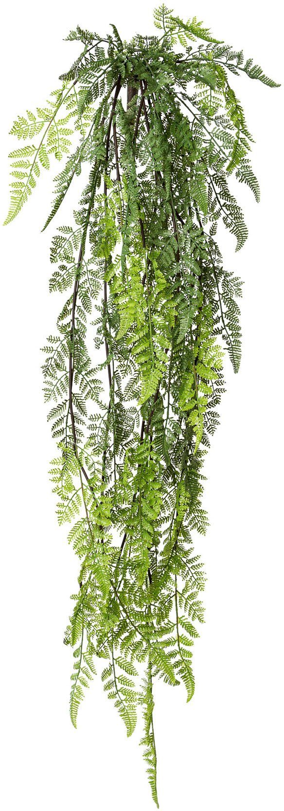 Kunstranke Farn-Hängebusch Farn, Creativ green, Höhe 114 cm günstig online kaufen