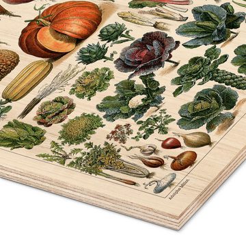 Posterlounge Holzbild Adolphe Millot, Gemüse und Hülsenfrüchte, Küche Vintage Illustration