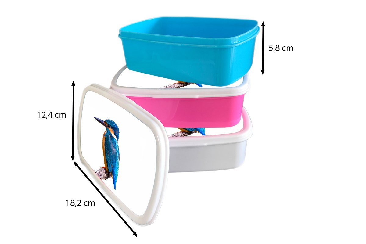 MuchoWow Lunchbox Eisvogel Mädchen Kinder Brotdose, (2-tlg), Erwachsene, - und Brotbox Federn Zweig - - weiß und für Blau, Kunststoff, Jungs für