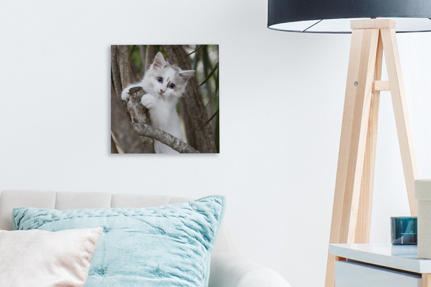 Schlafzimmer Ragdoll-Kätzchen Weißes einem auf Bilder für Ast, (1 Wohnzimmer OneMillionCanvasses® Leinwandbild Leinwand St),