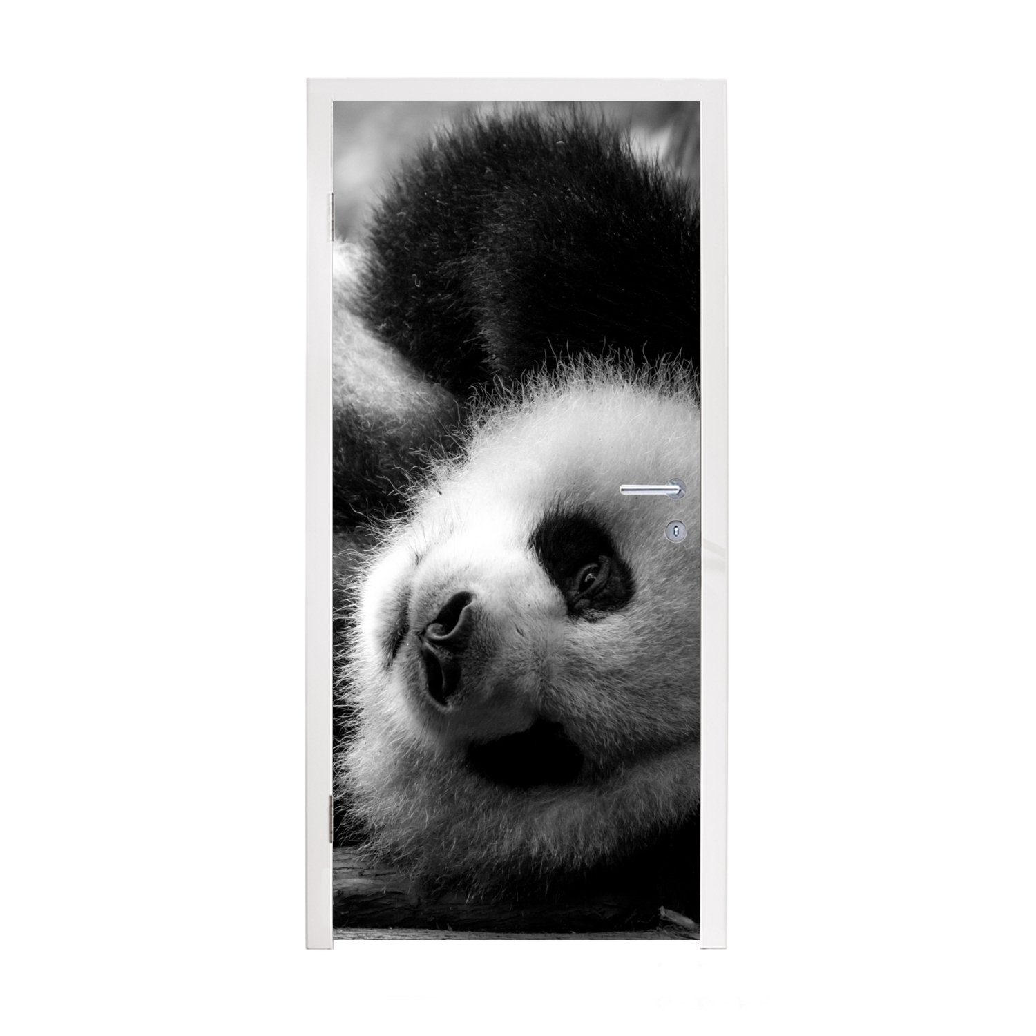 MuchoWow Türtapete Tierprofil rollenden Panda in schwarz und weiß, Matt, bedruckt, (1 St), Fototapete für Tür, Türaufkleber, 75x205 cm