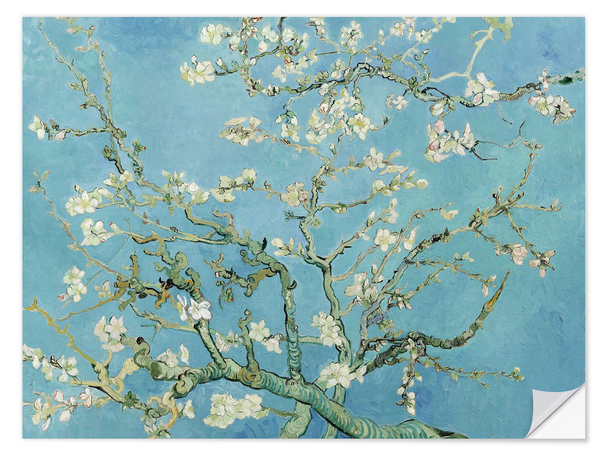 Wandfolie Vincent van Gogh