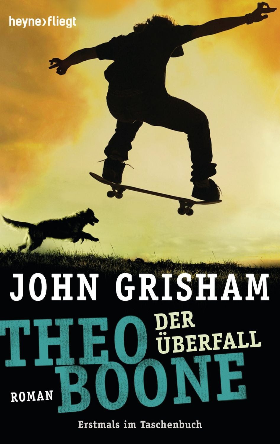 Theo Boone - Der Überfall / John Grisham
