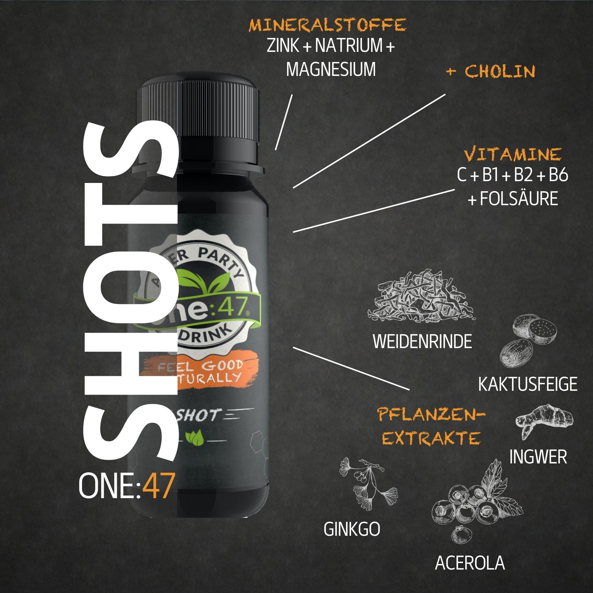 one:47 ONE:47® After Party Drink - Elektrolyte Vitamine Getränk Shots Tropfen, 12 St., 720 ml
