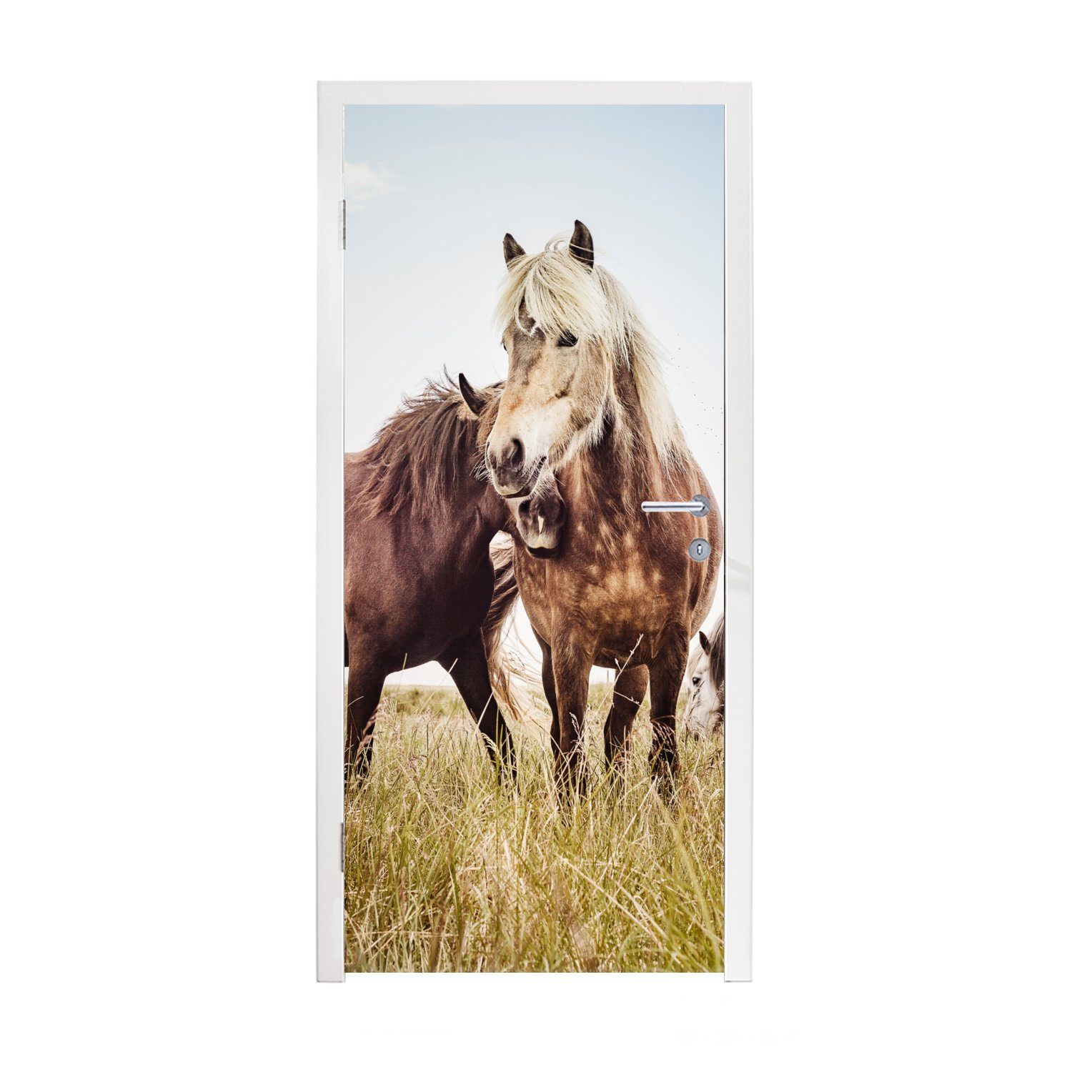 MuchoWow Türtapete Pferde - Gras - Frühling, Matt, bedruckt, (1 St), Fototapete für Tür, Türaufkleber, 75x205 cm