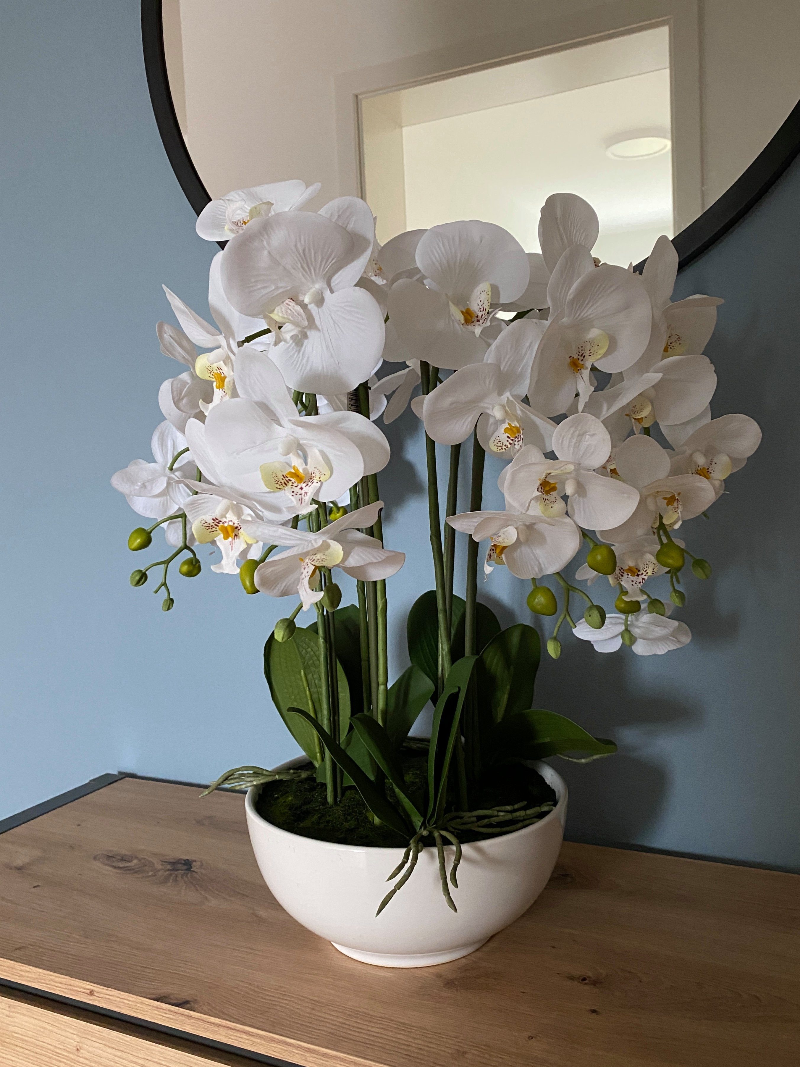 Kunstorchidee Kunstpflanze in Keramik-Schale Orchidee Phalenopsis weiß cm cm, 54 Orchidee, green, Höhe 54 Creativ