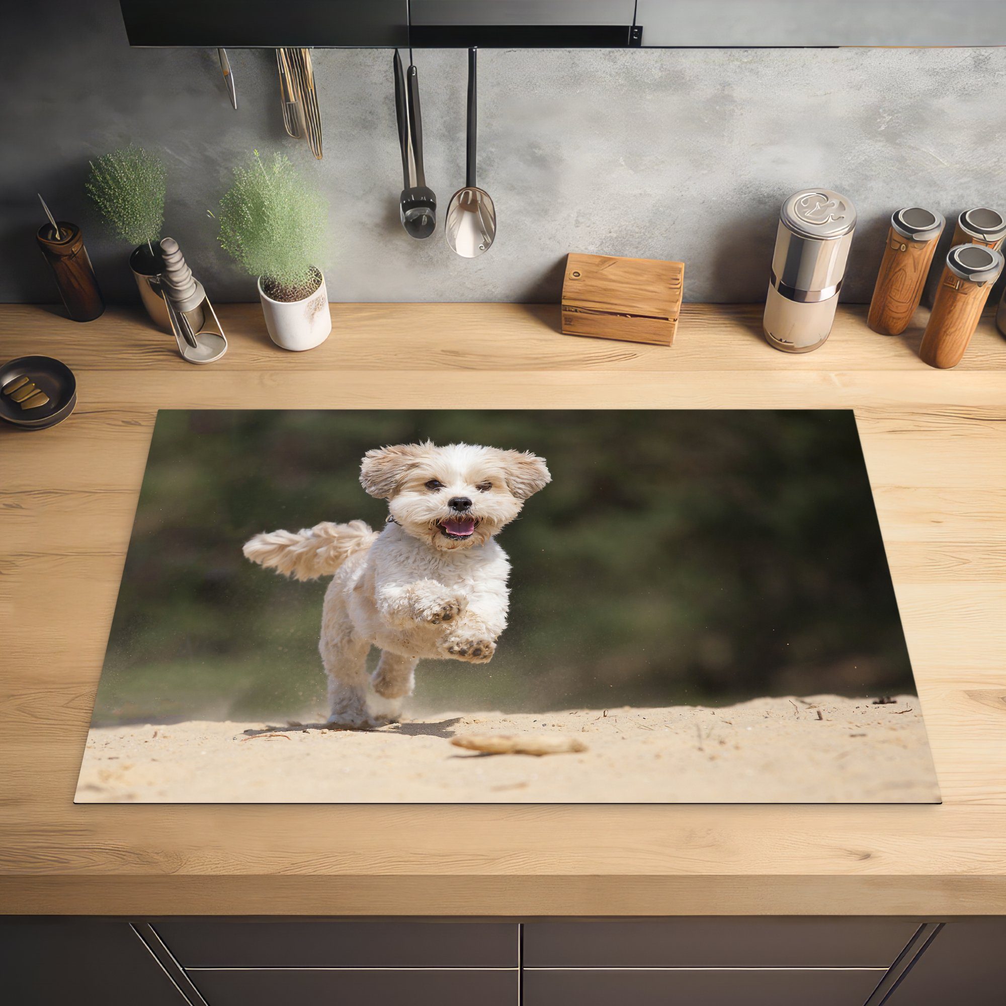 Ceranfeldabdeckung cm, durch küche, den Hund die Tzu tlg), (1 81x52 Ein Schutz Shih Vinyl, hüpft MuchoWow gelben Herdblende-/Abdeckplatte für Induktionskochfeld Sand,