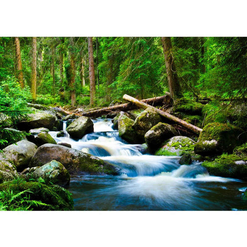 liwwing Fototapete Fototapete Wald Wasserfall Natur Baum grün liwwing no. 31, Wald