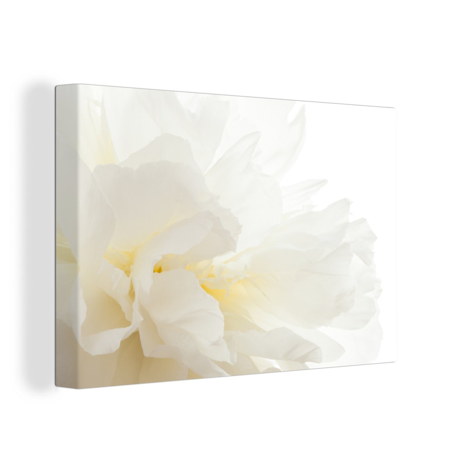 OneMillionCanvasses® Leinwandbild Nahaufnahme einer weißen Pfingstrose von der Seite, Fotodruck (1 St), Leinwand Bilder Klein, Wand Dekoration Aesthetic 30x20 cm
