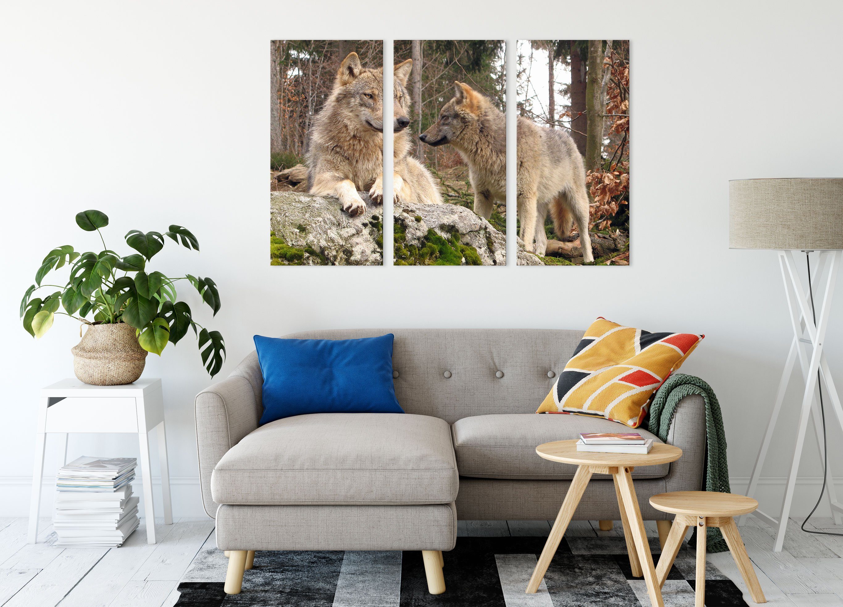 Pixxprint Leinwandbild Wölfe im Wald, inkl. fertig (120x80cm) Zackenaufhänger (1 im 3Teiler St), bespannt, Leinwandbild Wölfe Wald