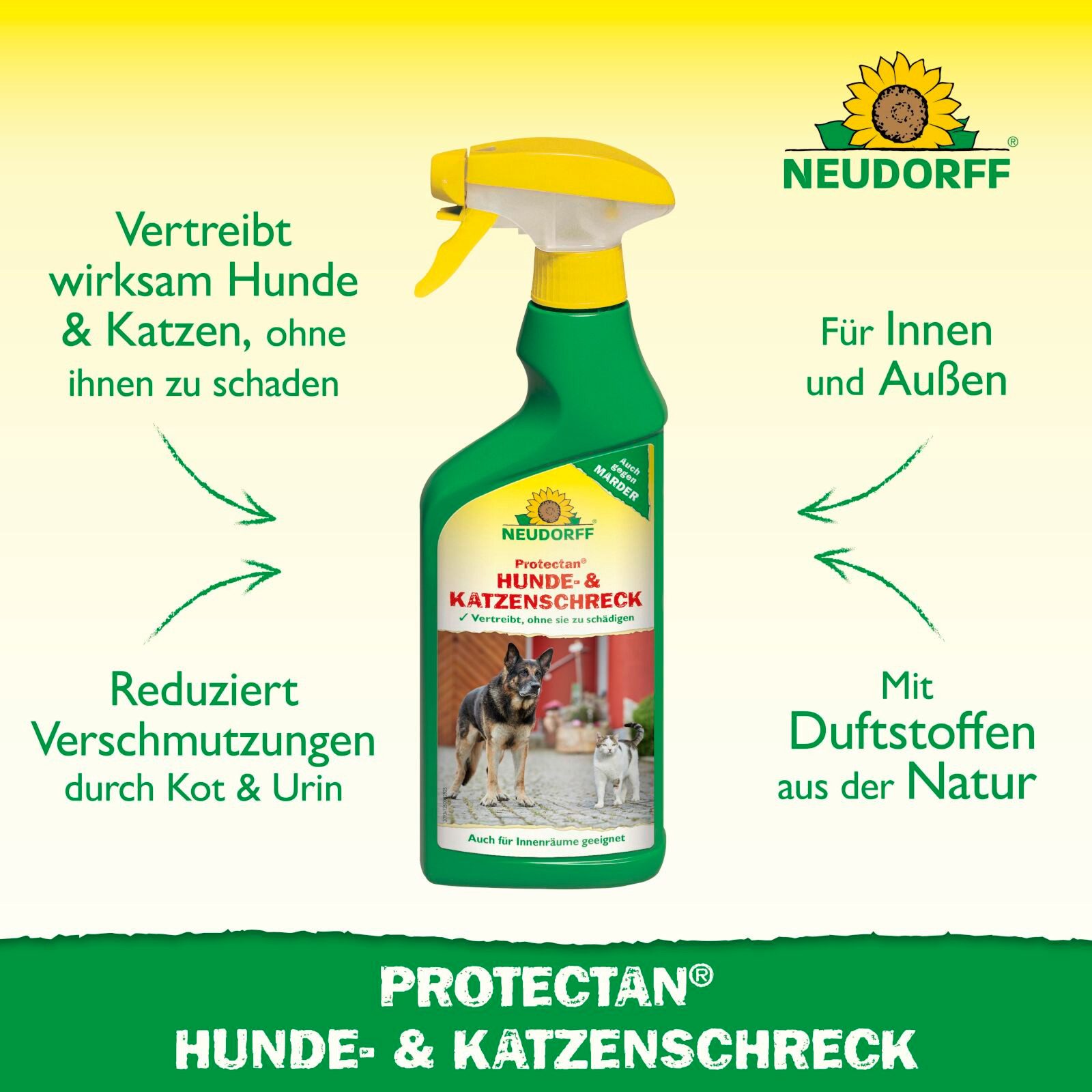 Neudorff Vergrämungsmittel Protectan Hunde- und KatzenSchreck 500 ml, 0.5 l, Geruchsbasiertes Fernhaltespray für Innen- und Außenbereiche, 500 ml für bis zu 10  – Bild 2 von 5