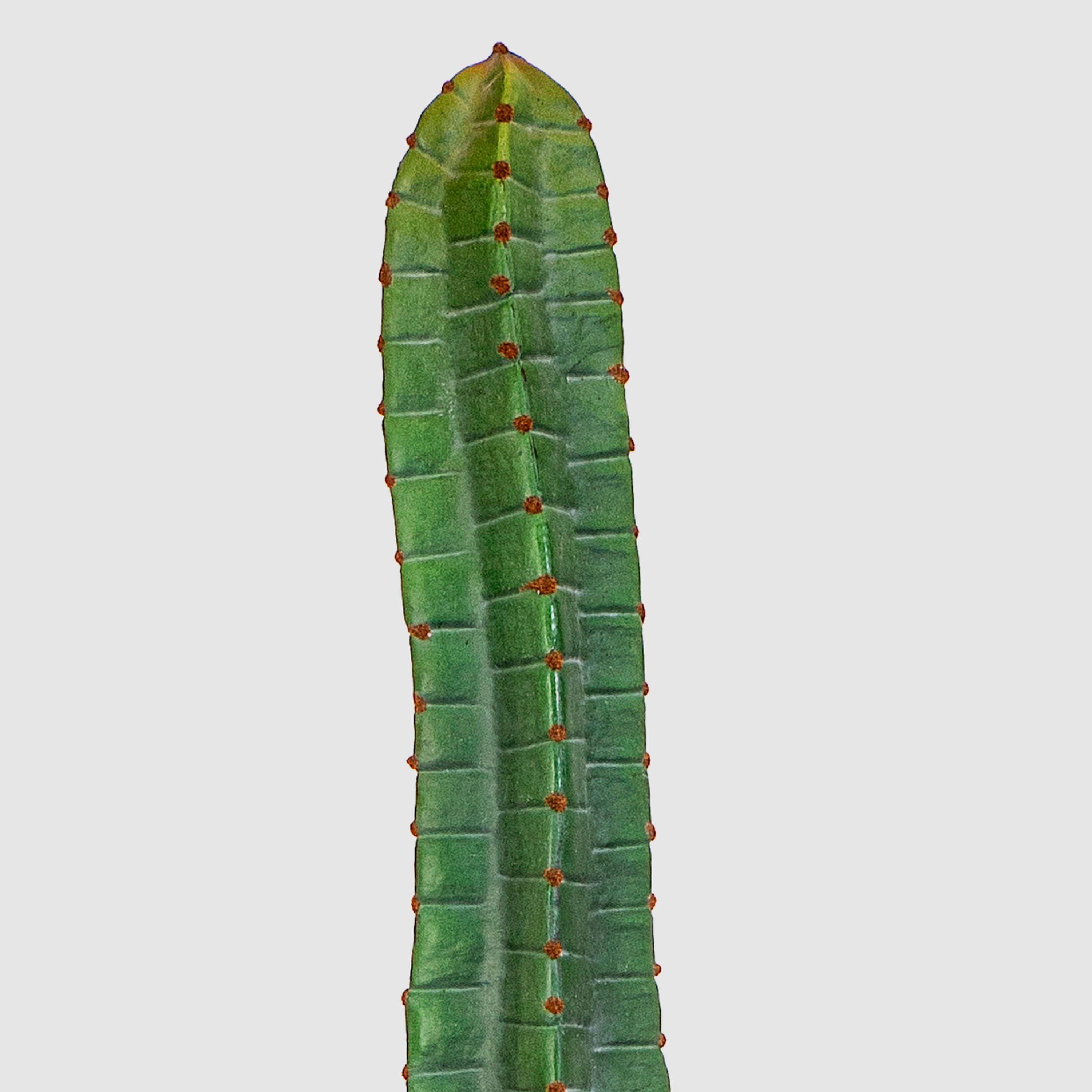 Kunstkaktus Deko Säulenkaktus ELKURUD, grün-rot, 180cm Säulenkaktus, artplants, Höhe 180.0 cm