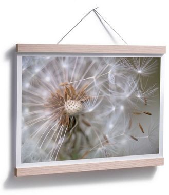 Wall-Art Poster Pusteblume im Flug, Blumen (1 St), Poster ohne Bilderrahmen