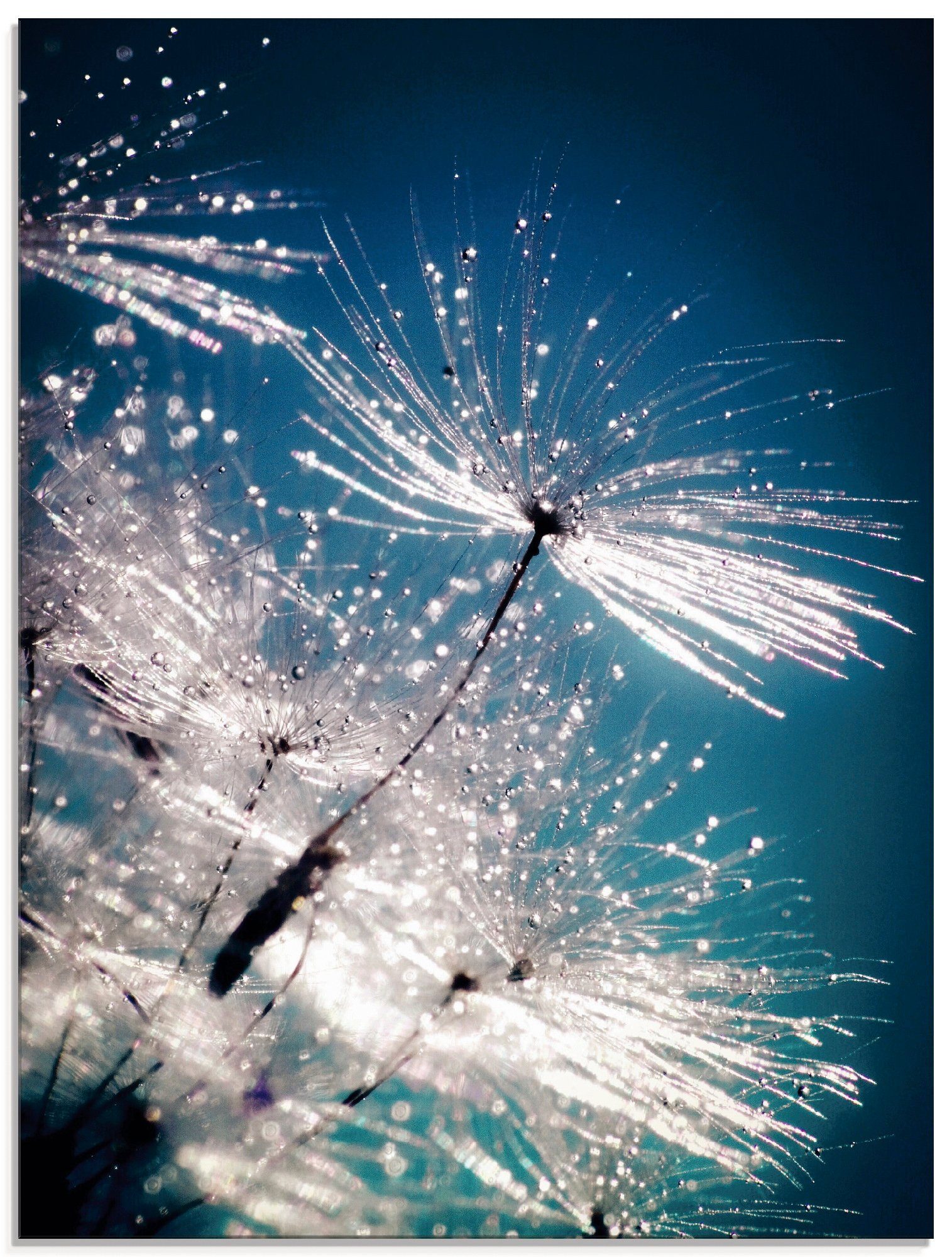Artland Glasbild Pusteblume Kristallschirmchen, (1 Blumen St), Größen verschiedenen in