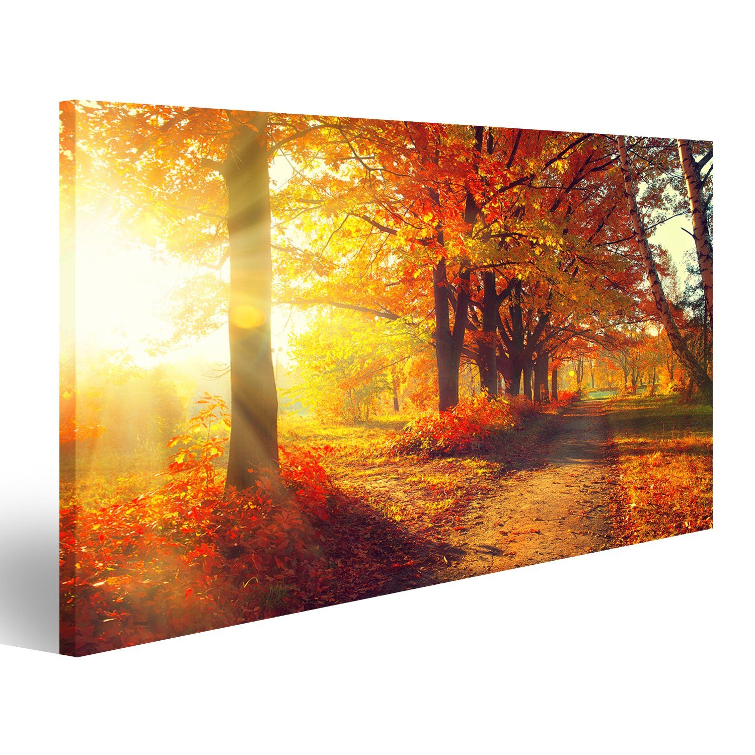 islandburner Leinwandbild Bild auf Leinwand Fallen Herbst Park Herbstlichen Bäumen Und Blättern