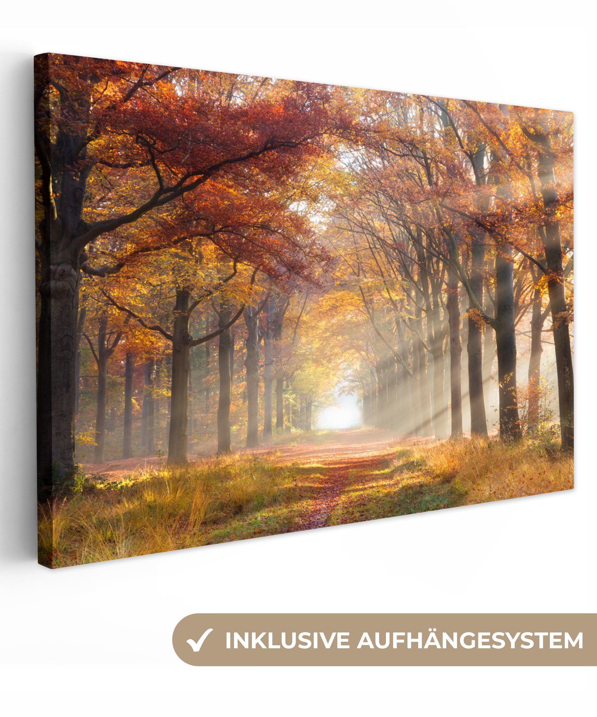 OneMillionCanvasses® Leinwandbild Herbst - Wald - Baum, (1 St), Wandbild für alle Wohnbereiche, Gemälde, XXL, großes, 120x80 cm