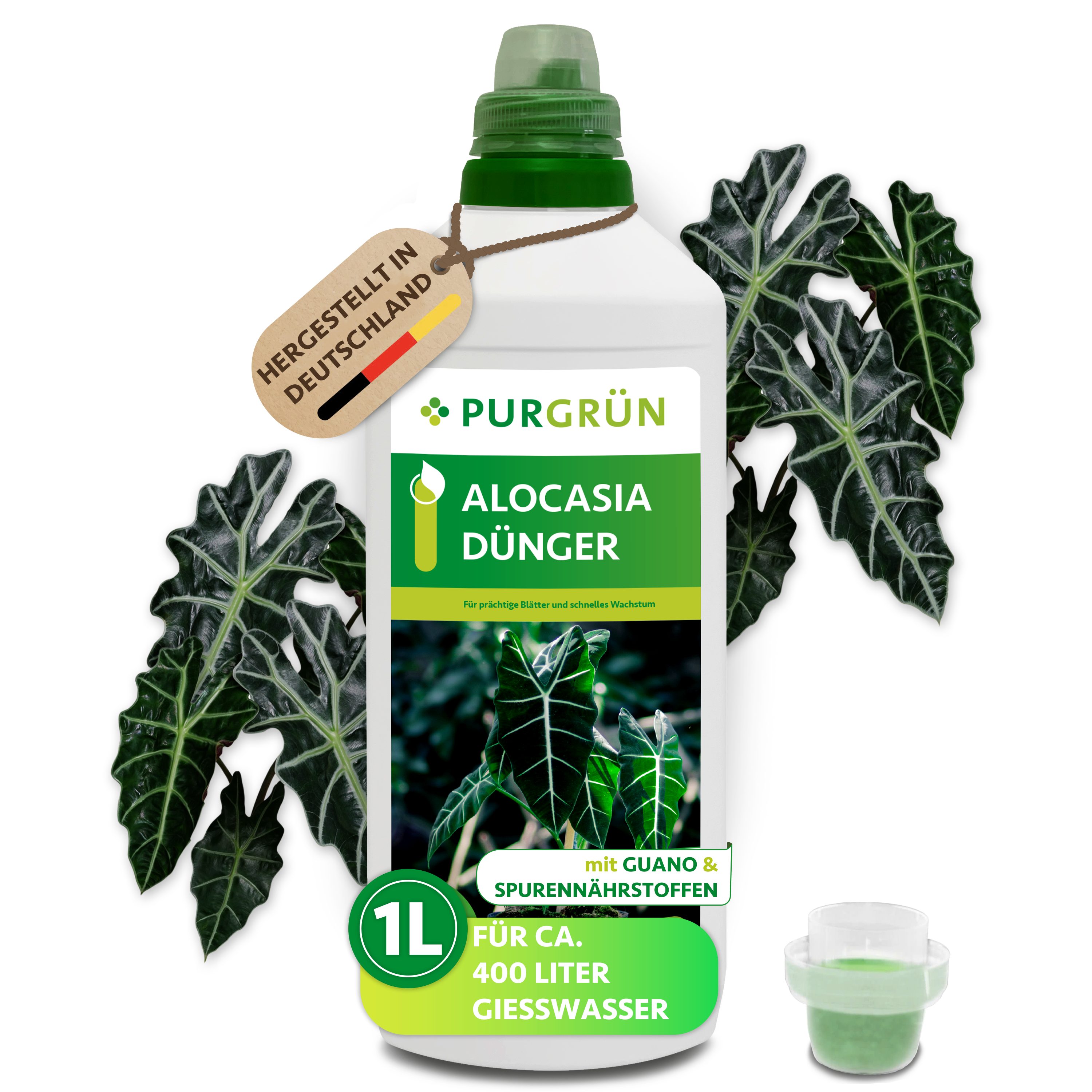 Universaldünger Purgrün Alocasia Dünger, NPK 10+4+6, stärkt Blattwachstum, 1 Liter