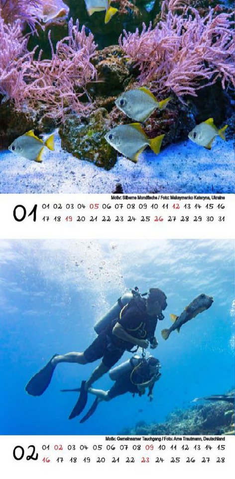Thumbnail - Seelenzauber Tischkalender Tauchzauber Kalender für 2025 Format 10cm x 10cm Unterwasser tauchen