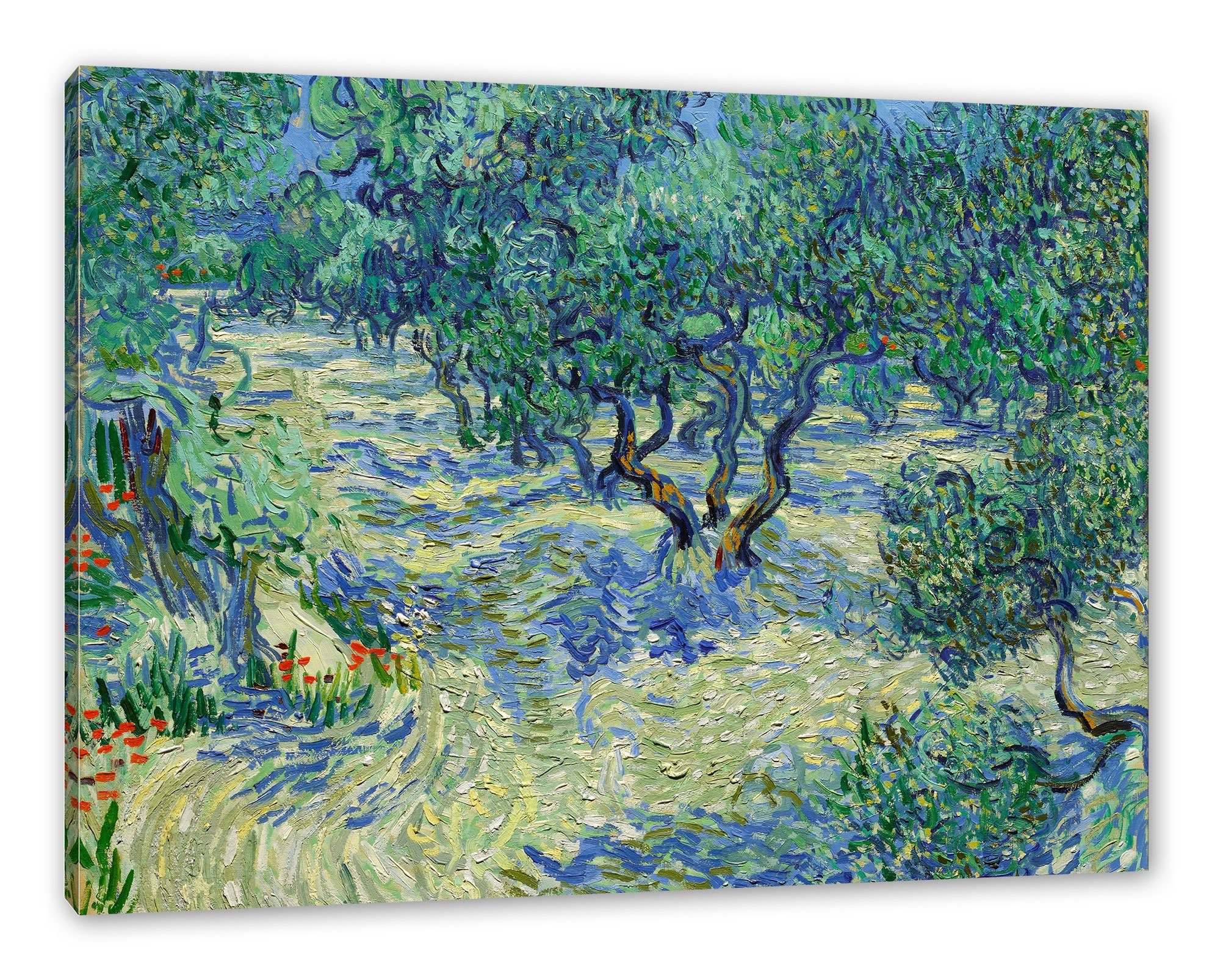 Pixxprint Leinwandbild Vincent Van Gogh - Oliven-Feld, Vincent Van Gogh - Oliven-Feld (1 St), Leinwandbild fertig bespannt, inkl. Zackenaufhänger