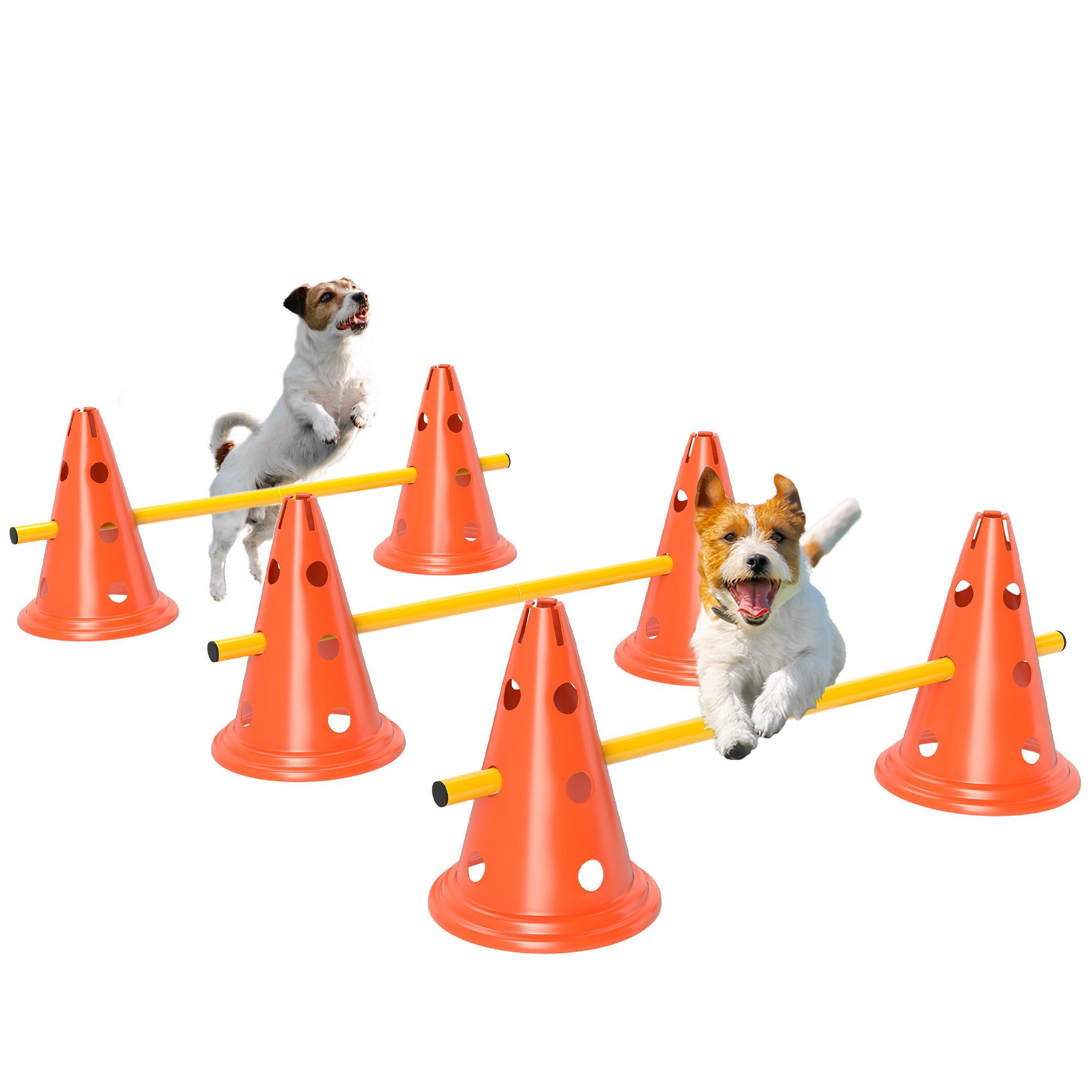 AIMAX Hunde-Erziehungsgeschirr Agility Set für Hunde 3-teilig mit Hürden & Kegel inkl. Tragetasche