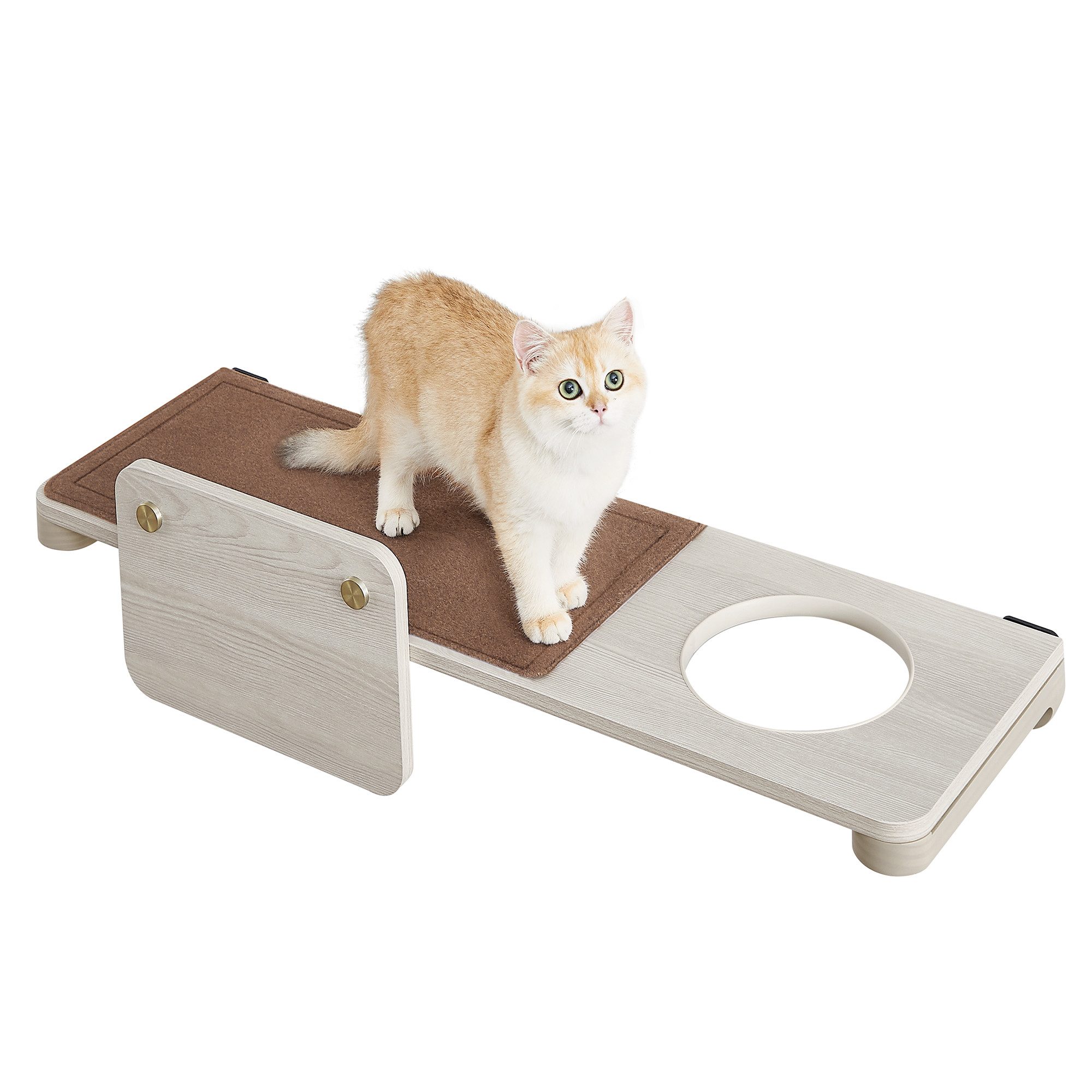 Katzen-Kletterwand