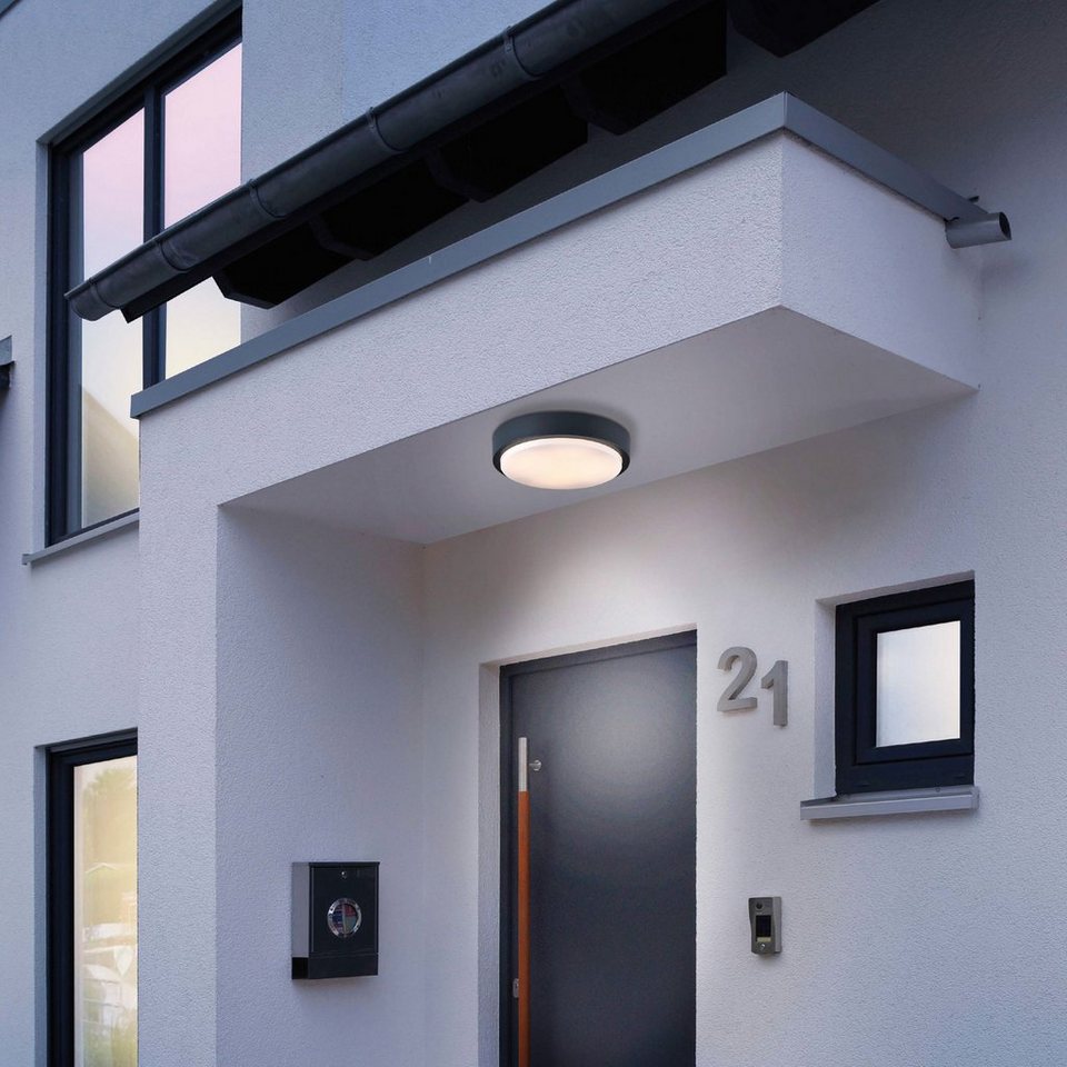 Paul Neuhaus Smarte LED-Leuchte LED Außen-Deckenleuchte Q - LENNY Smart  Home, Smart Home, RGB-Farbwechsel, Dimmfunktion, Memoryfunktion, mit  Leuchtmittel, RGB+W Farbwechsel dimmbar, Fernbedienung App Alexa