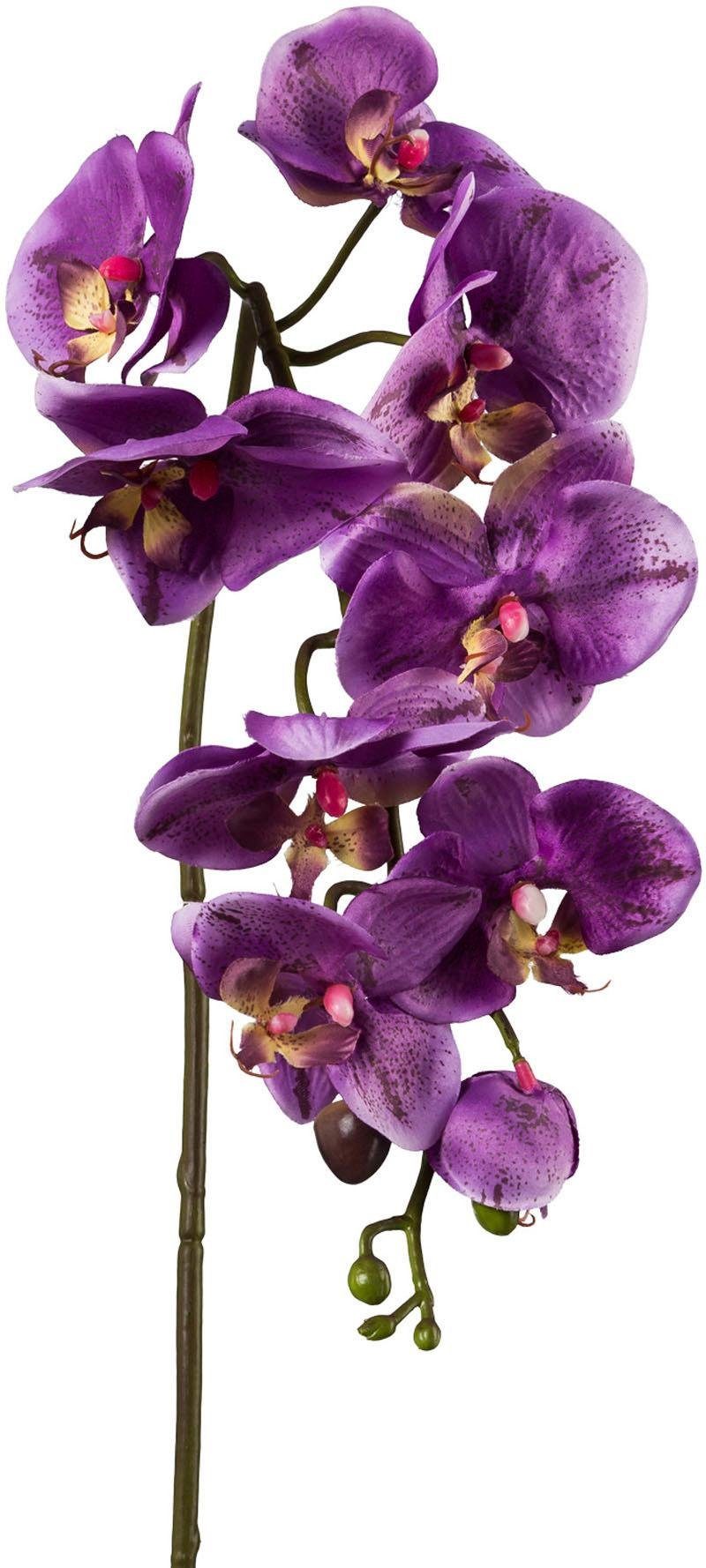 Kunstpflanze Orchidee, Creativ green, Höhe 98 cm, 3er Set günstig online kaufen