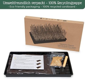 Pfotenolymp Katzen-Futterspender Katzengras Pflanzset mit Kunststoffschale - DIY Set mit Samen & Erde, Modernpflanz