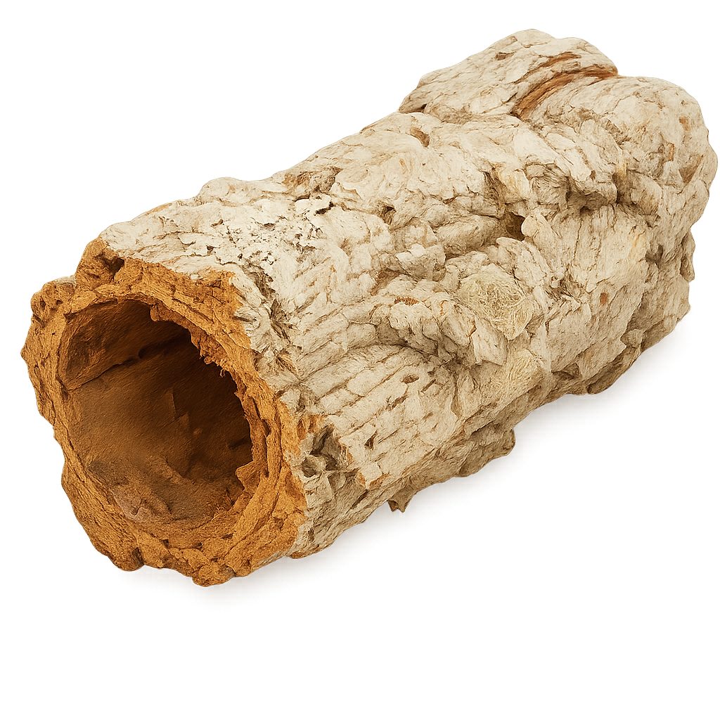 NaDeco Bastelnaturmaterial Korkröhre Maxi aus Naturkork ca 20 cm – Korkhöhle