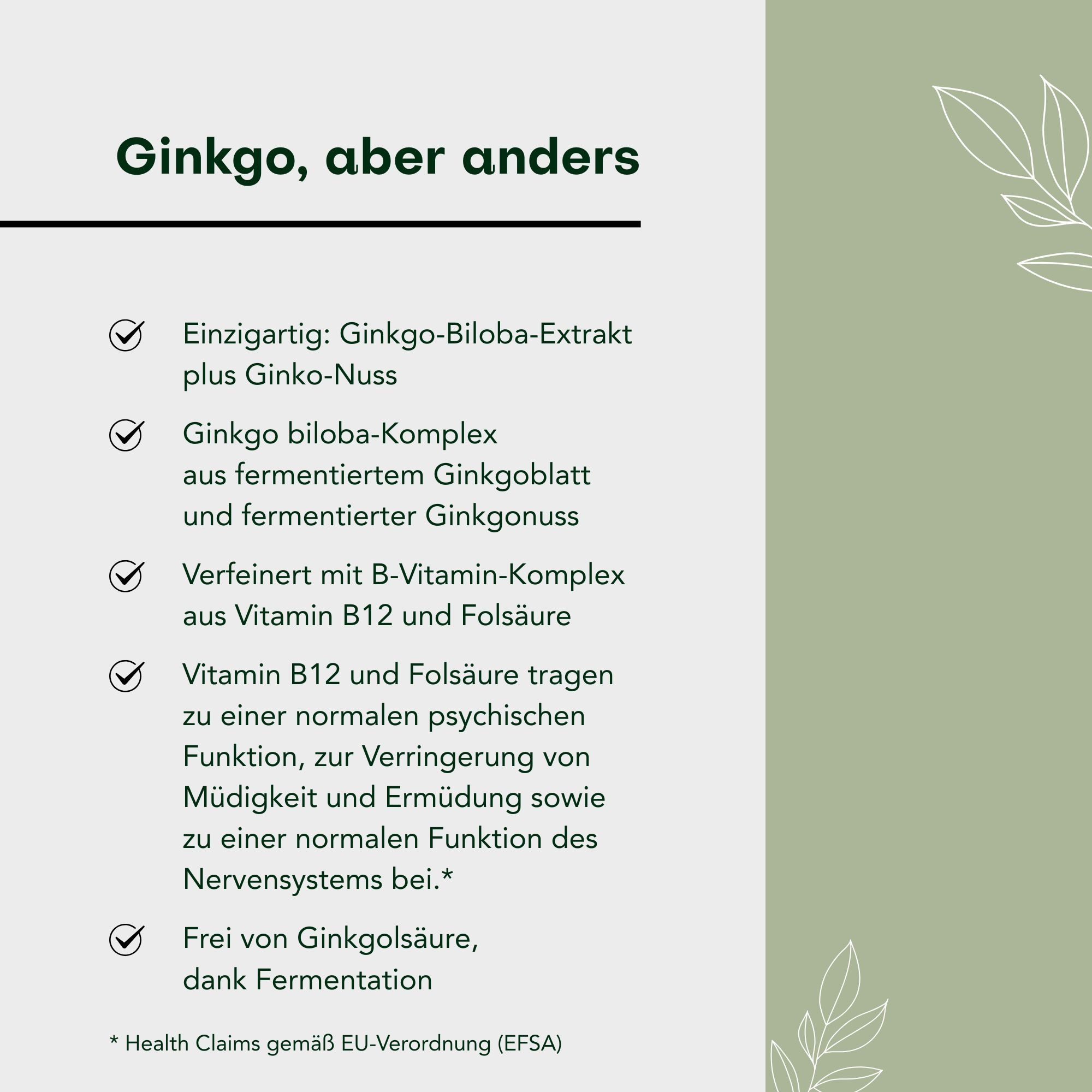 Aura Natura Fermentura Ginkgo Duo Plus - Ginkgo Biloba Kapseln mit Vitamin B12 Kapseln, 1 er Packung à 30 St., Ginkgo Biloba Kapseln