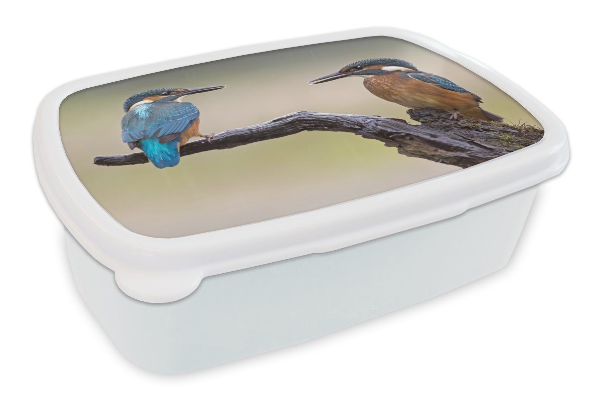 MuchoWow Lunchbox Eisvogel - Blau - Orange, Kunststoff, (2-tlg), Brotbox für Kinder und Erwachsene, Brotdose, für Jungs und Mädchen weiß