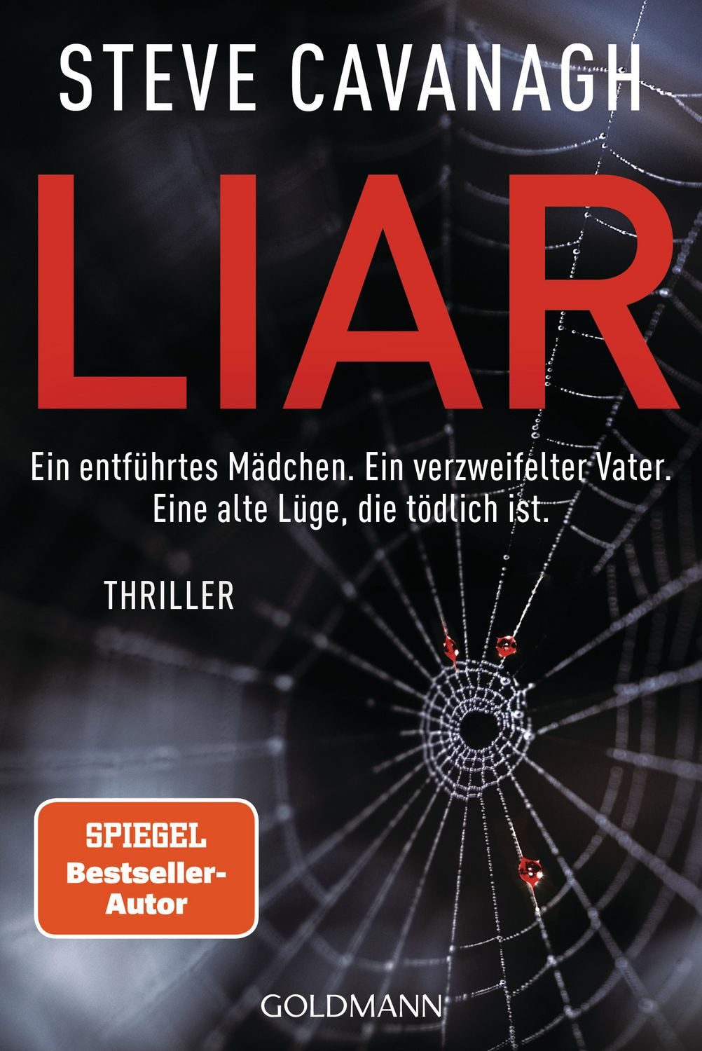 Belletristik Liar Thriller Steve Cavanagh