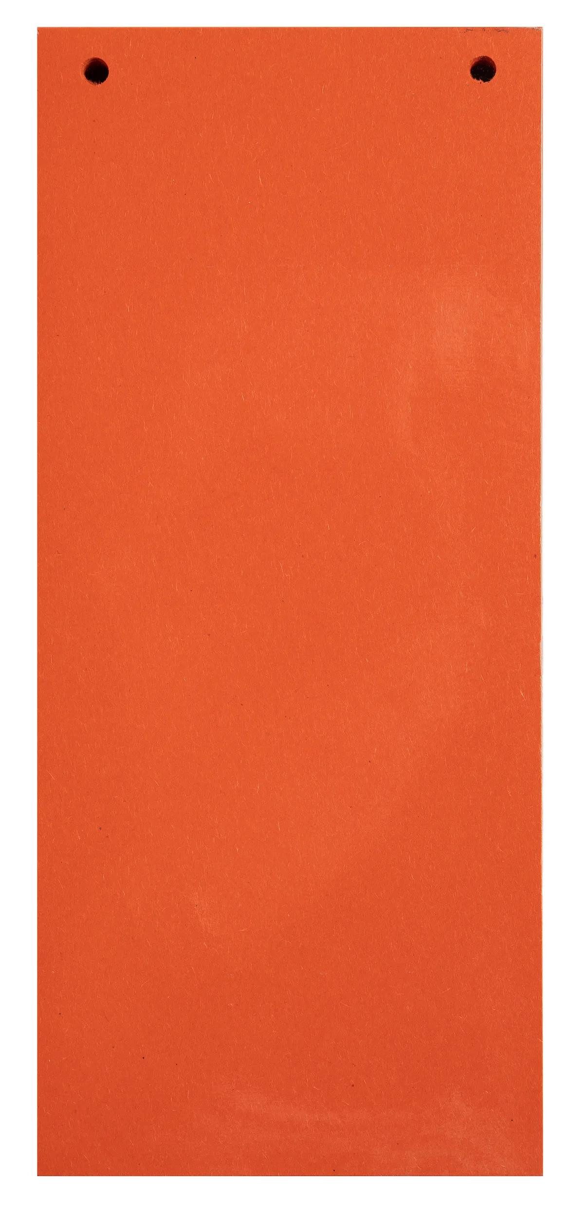 EXACOMPTA Aktenordner 12x 100 Trennstreifen 2-fach gelocht RC Kart 105x240mm Orange 13465B, Karton recycling Register