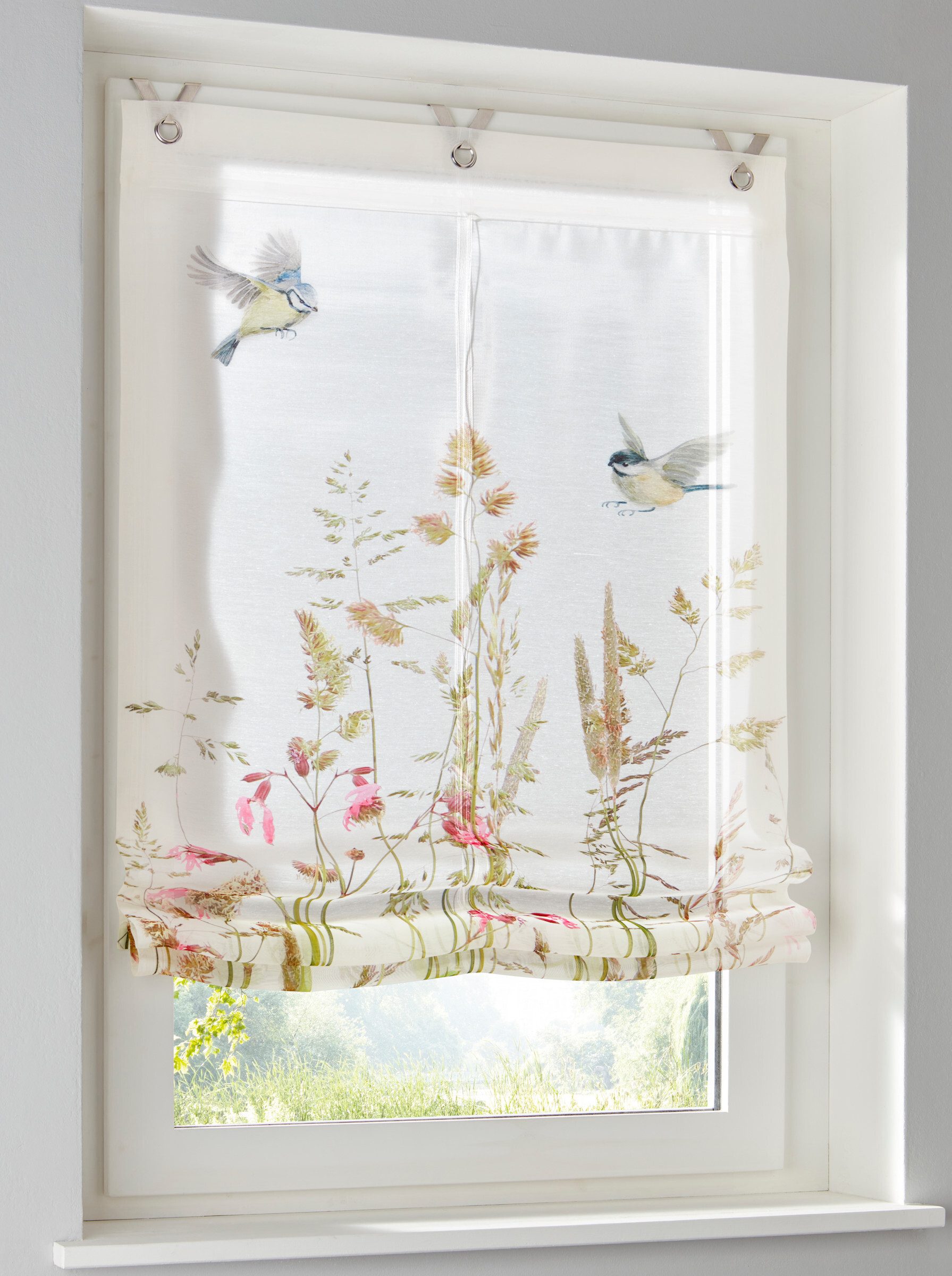 Rollo Raffrollo ., heine, halbtransparent, Ösen günstig online kaufen