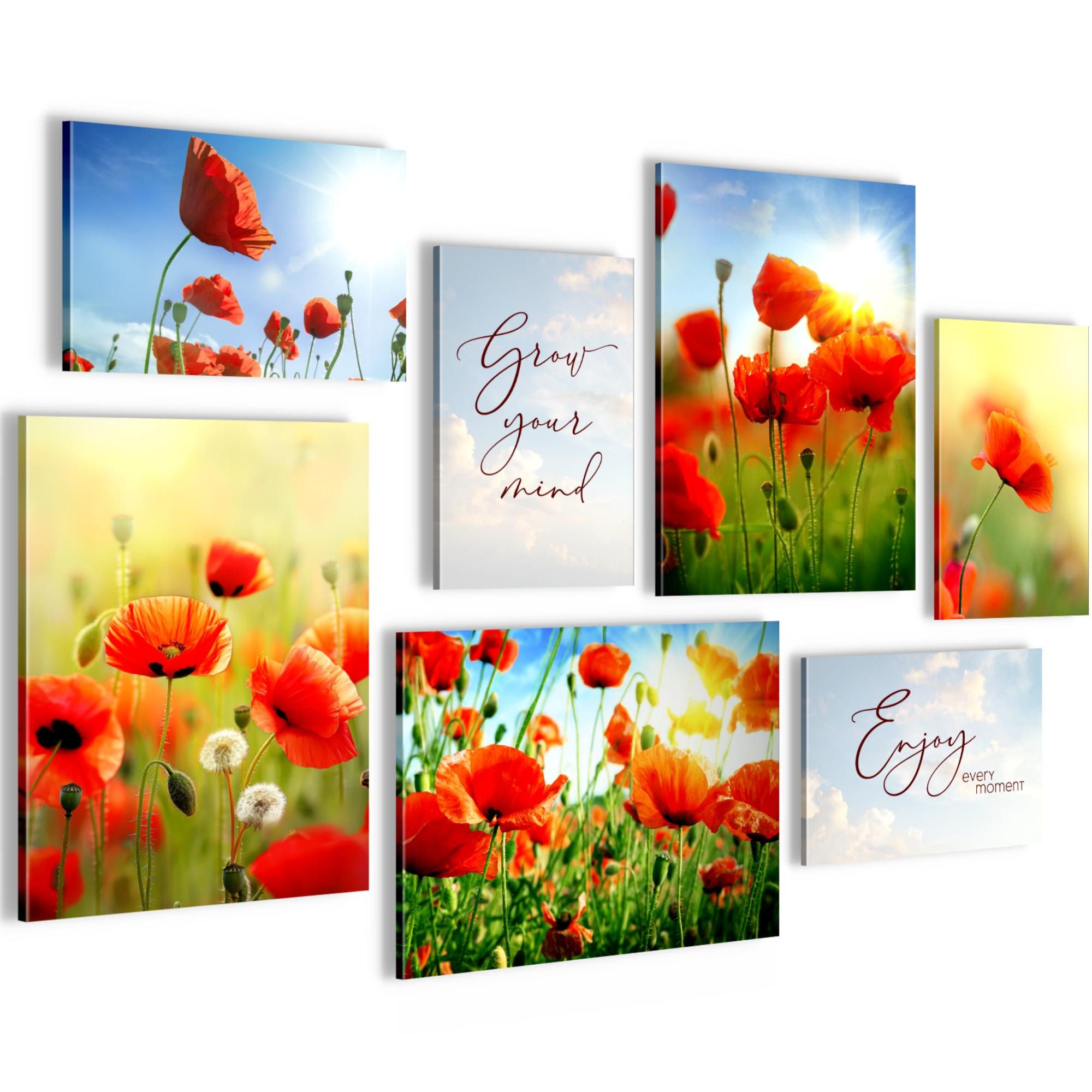 Novart Wandbild Blumenwiese Mohnblumen AUFHÄNGFERTIG Bunt Flur 7 N034671a, 110L x 73B cm