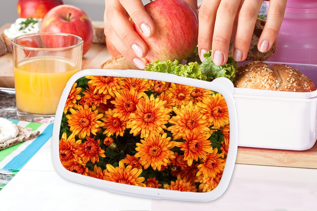 MuchoWow Lunchbox Blumen Kunststoff, für für Mädchen Chrysantheme, Kinder Jungs und Brotdose, Erwachsene, - Brotbox (2-tlg), - Orange und weiß