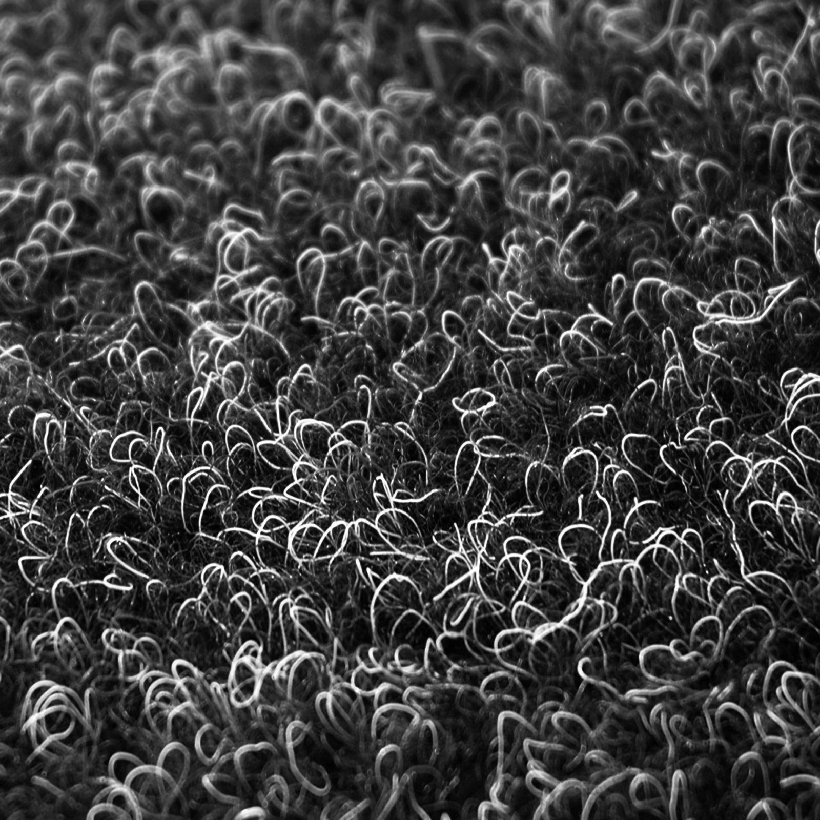 casa pura Kunstrasen Farbwunder Anthrazit, Erhältlich in verschiedenen Größen, Kunstrasen, Höhe: 4 mm