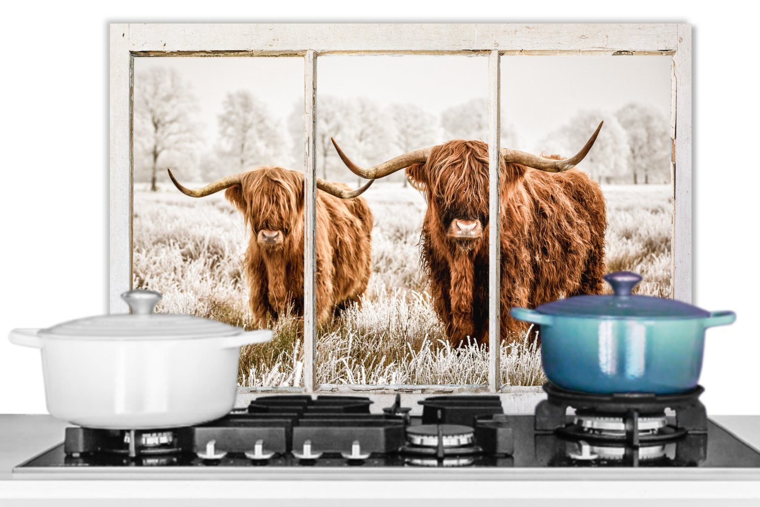 MuchoWow Küchenrückwand Scottish aus Wandschutz, - - Highlander Ansicht küchen Temperaturbeständig 60x40 Kuh, (1-tlg), Herdblende cm