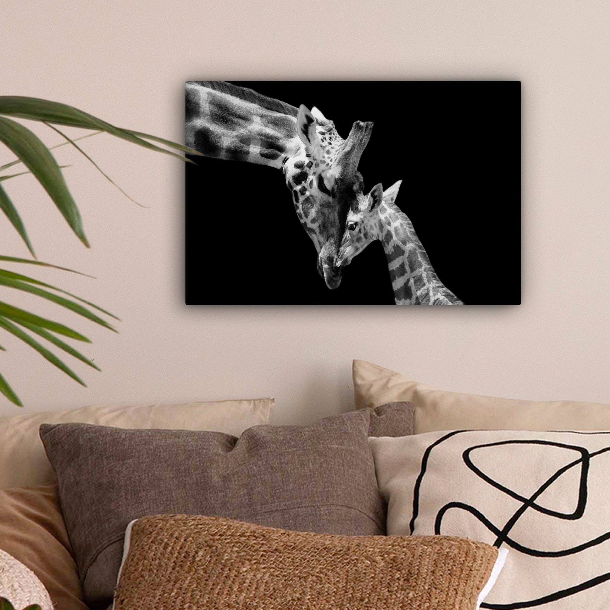 OneMillionCanvasses® Leinwandbild Giraffe - Wildtiere - günstig online kaufen