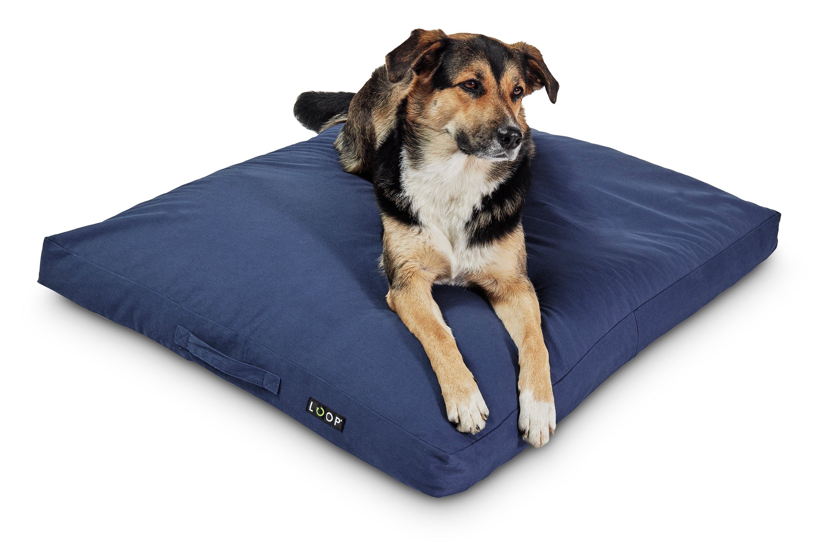 Hundekorb HUNDELOUNGE - rechteckiges Hundekissen