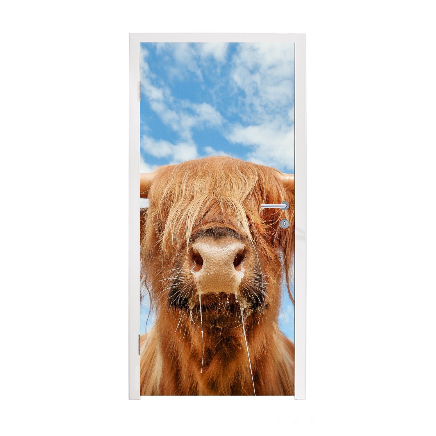 MuchoWow Tiere, - Türtapete Tür, - (1 St), Wolke Matt, 75x205 Highlander Schottischer Fototapete für cm Türaufkleber, bedruckt,