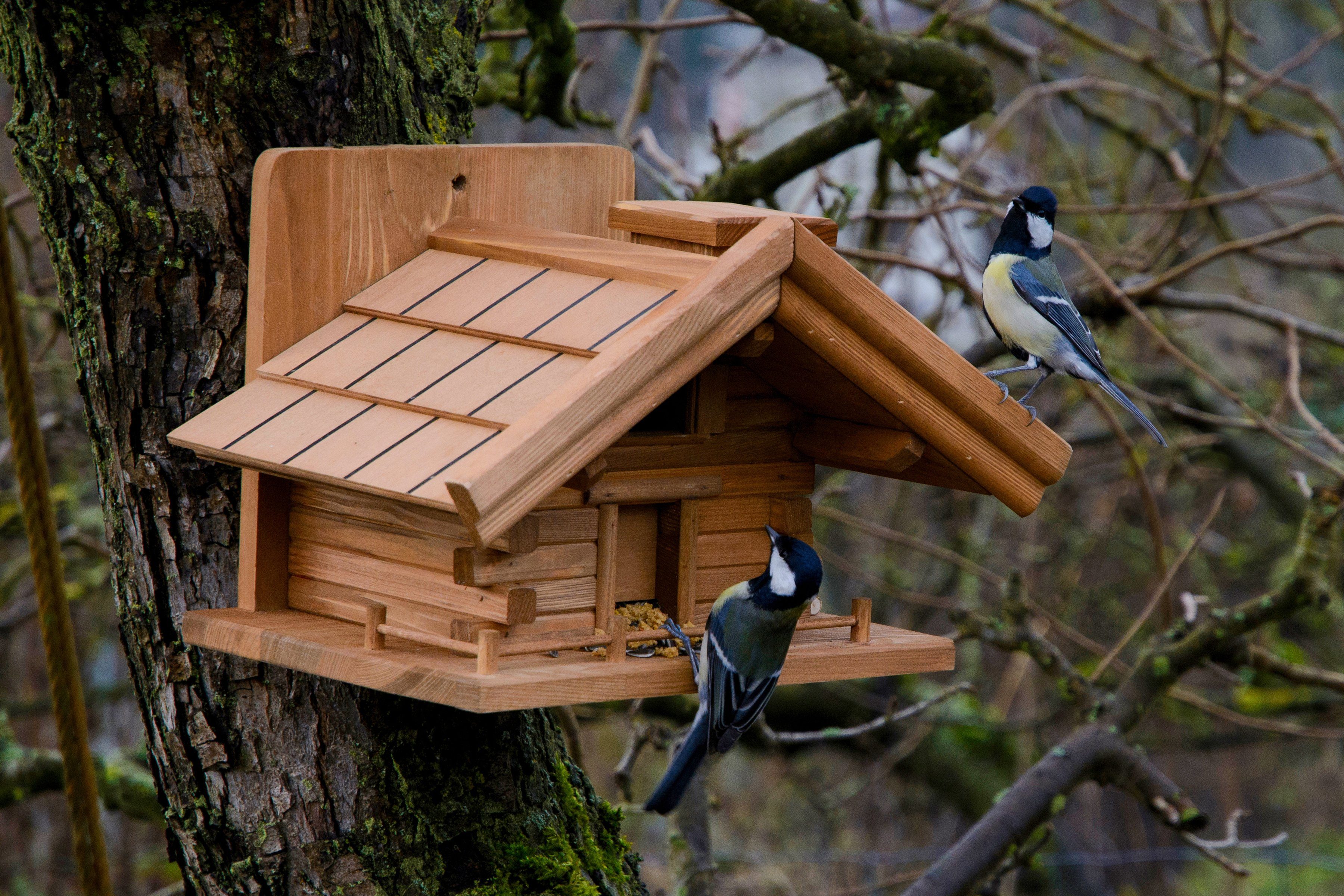 SuperMoss Pflanzbares Vogelhaus – 35,6x33 Cm, Aus MossVine, Mit Kette