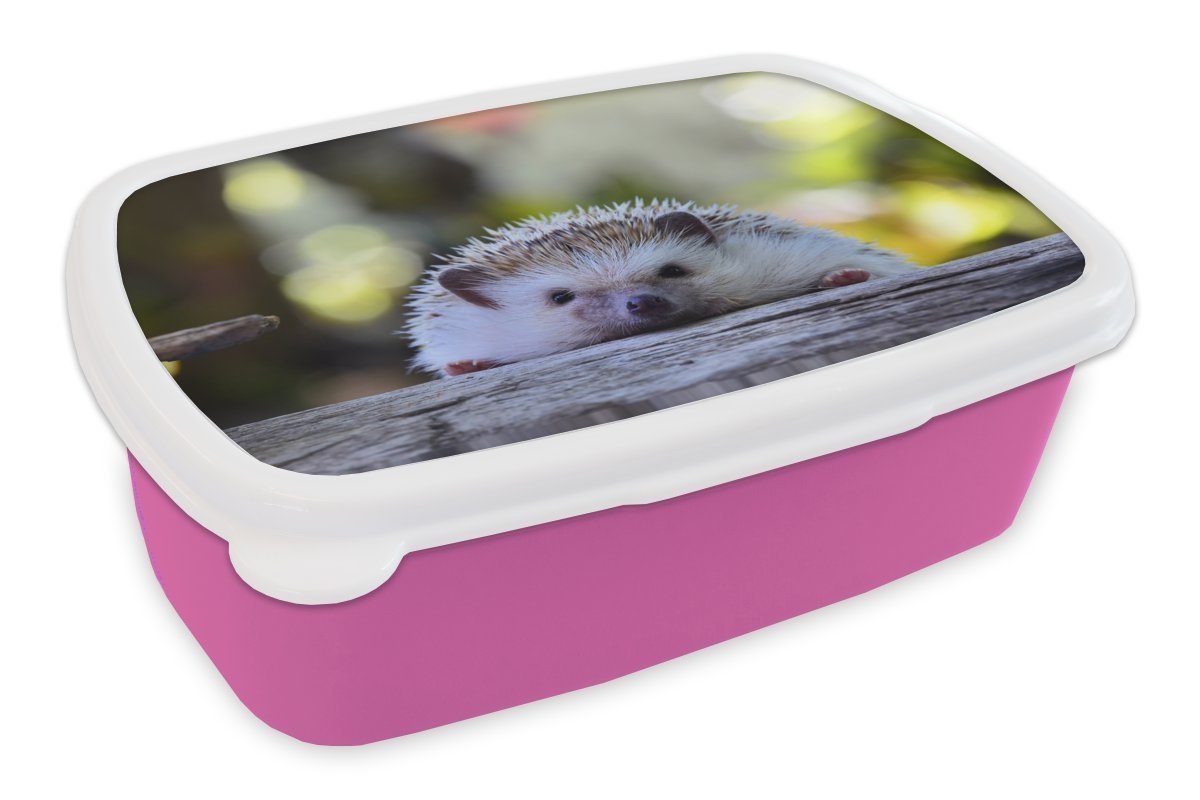 Kunststoff, Lunchbox Erwachsene, Mädchen, Kunststoff Holz, liegt (2-tlg), auf MuchoWow Brotdose Snackbox, Kinder, Brotbox für rosa Igel