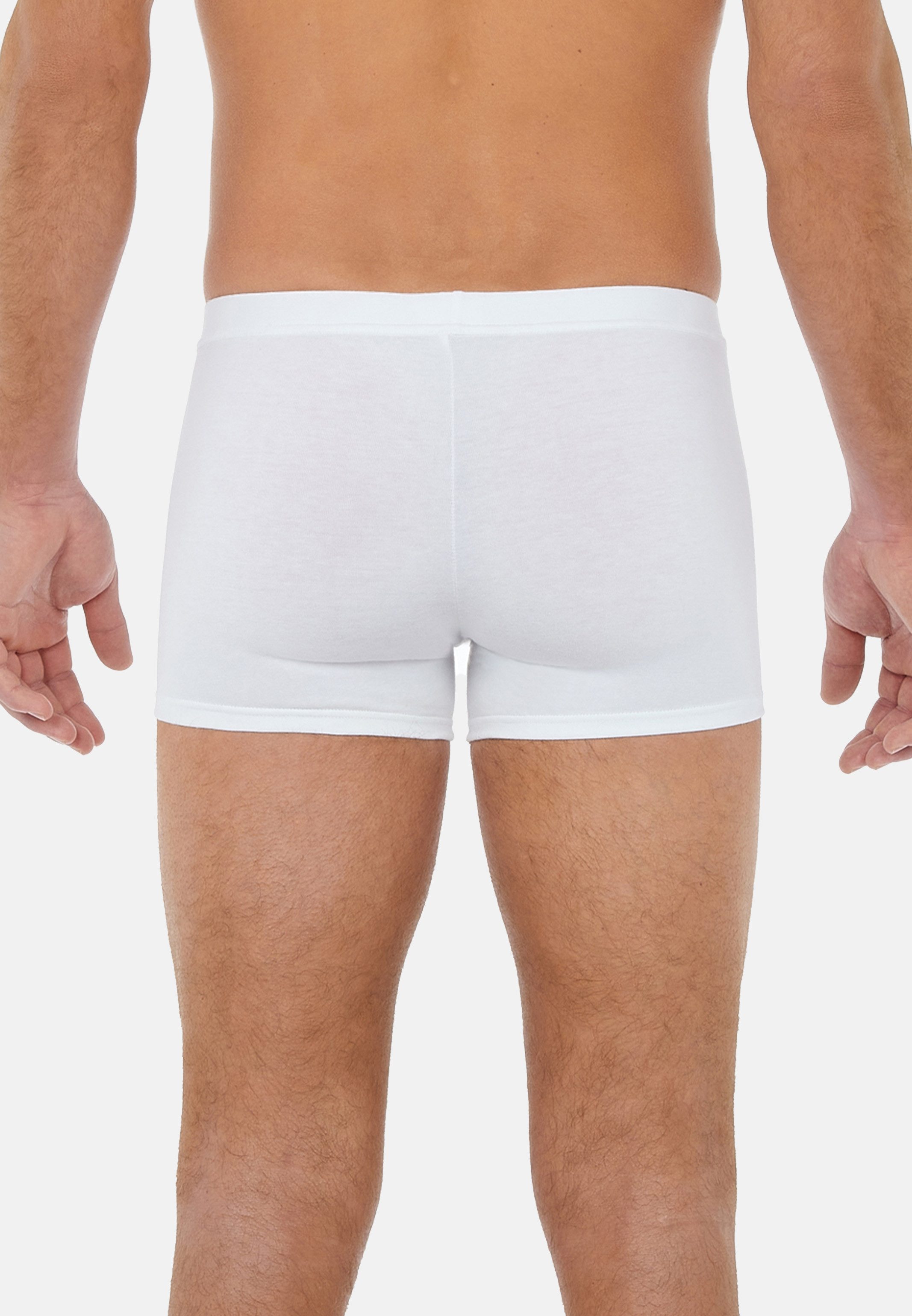 Hom Retro Boxer 2er Pack TENCEL™ Soft (Spar-Set, 2-St) Retro Short / Pant - ohne Eingriff - Blickdicht