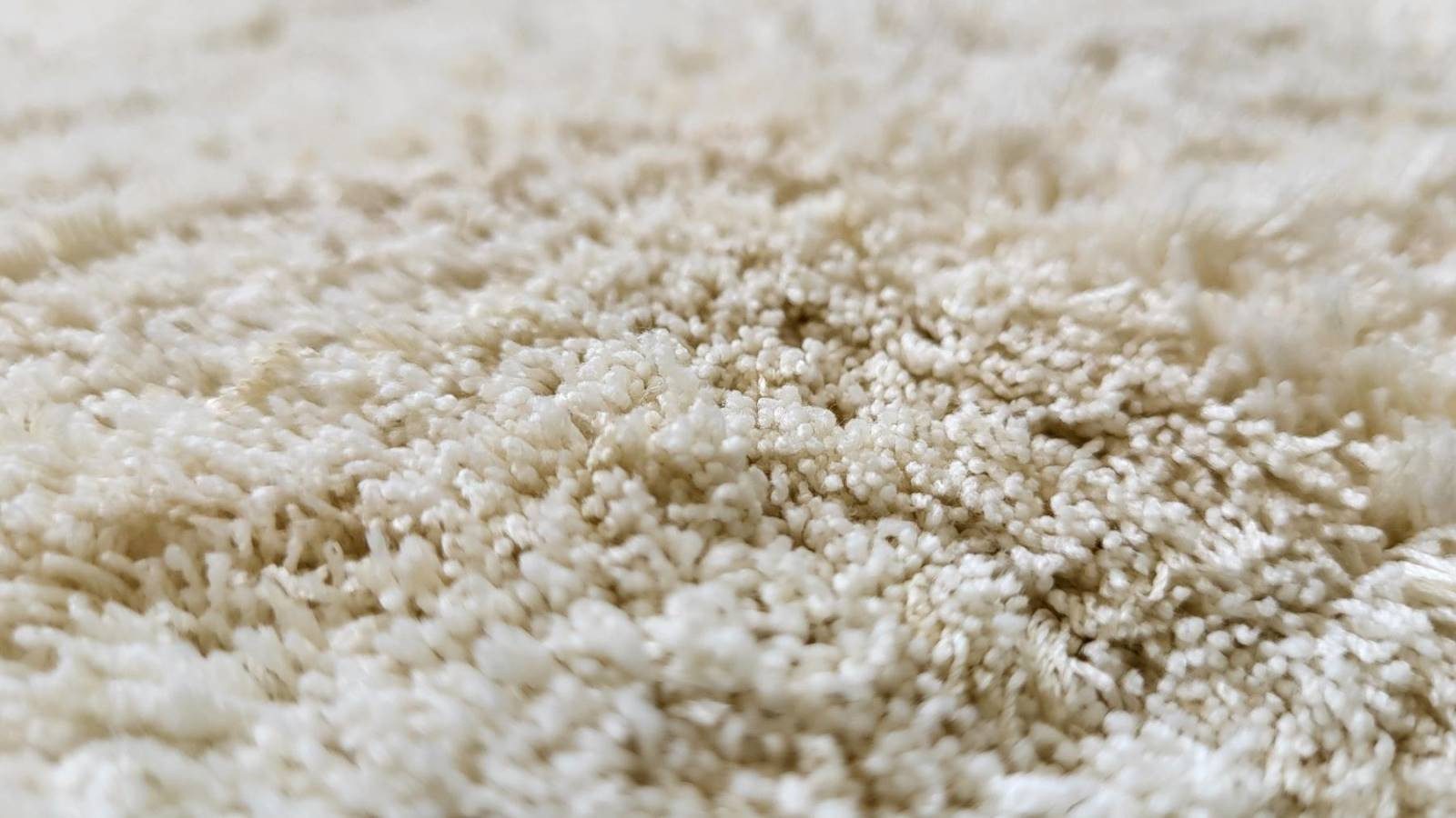 Rug Studios Teppich SHAGGY ELEGANCE, Rechteckig, günstig online kaufen