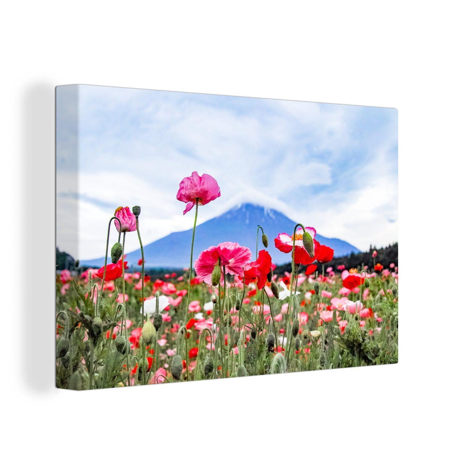 OneMillionCanvasses® Leinwandbild Rosa Mohnblumen für einen Berg, (1 St), Wandbild Leinwandbilder, Aufhängefertig, Wanddeko, 30x20 cm