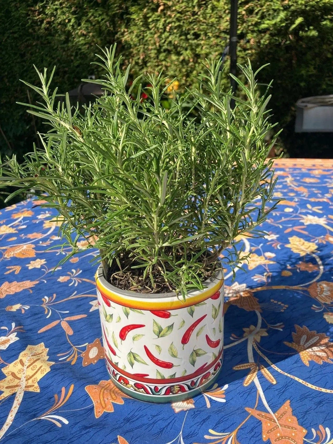 enzo de gasperi Übertopf Bemalter Übertopf für Tischdekoration - 2 Designs - Höhe 14 cm Ø 15 cm