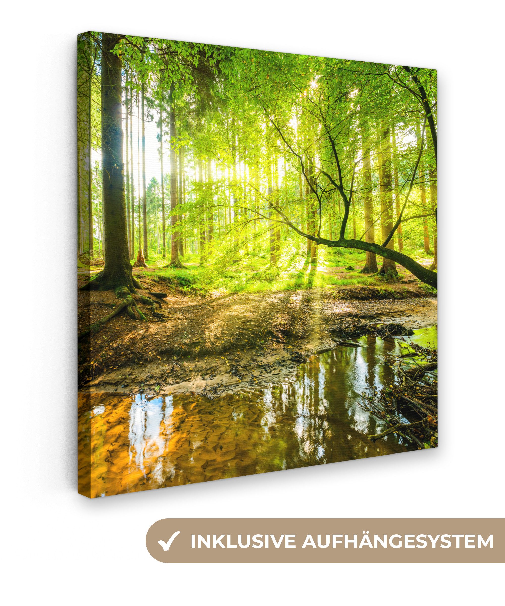 OneMillionCanvasses® Leinwandbild Wald - Landschaft - Wasser - Bäume - Sonn günstig online kaufen